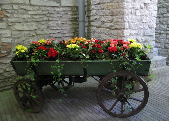 圣奥拉沃酒店 4*