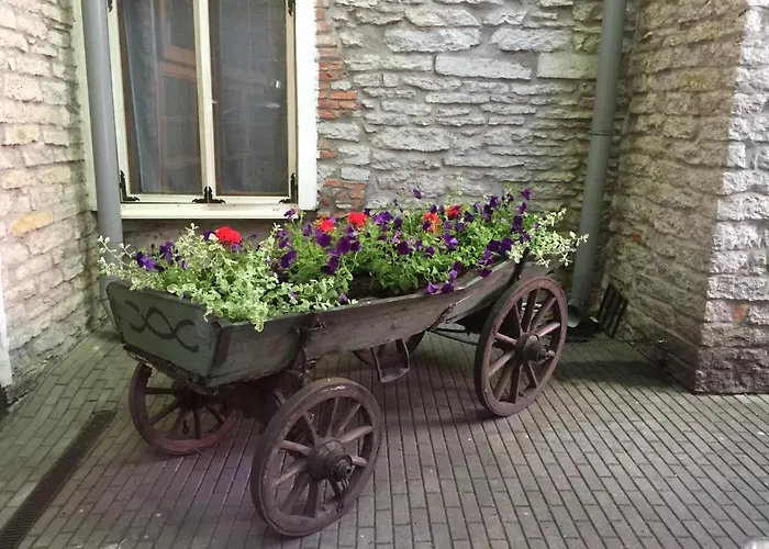 Hotel St.olav Tallinn