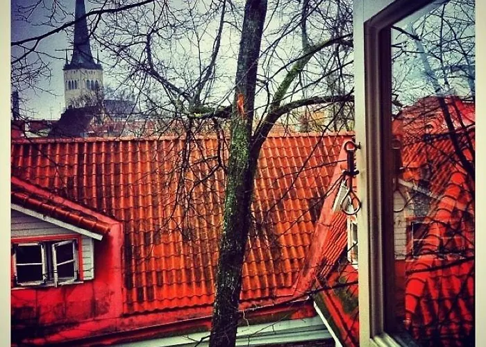 St.olav 4* Таллин